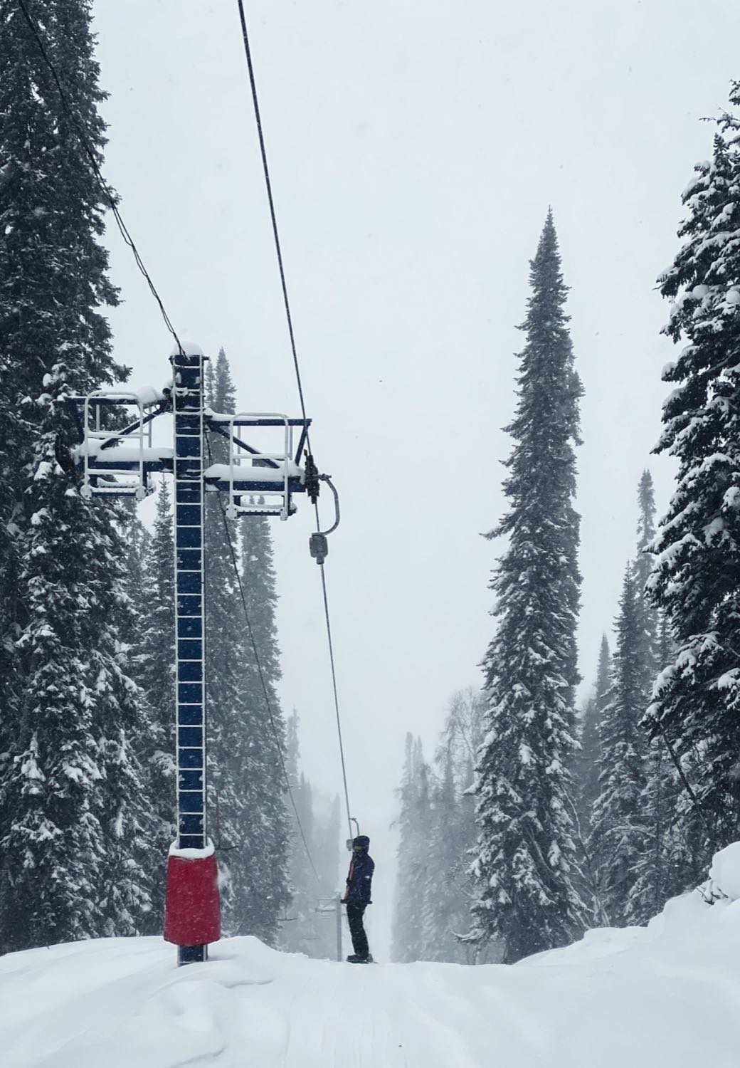 A lift tower on a snow-covered lift line with a lone rider below, tall spruce on both sides during heavy snowfall